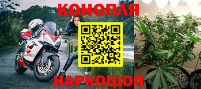 jwh Дубна