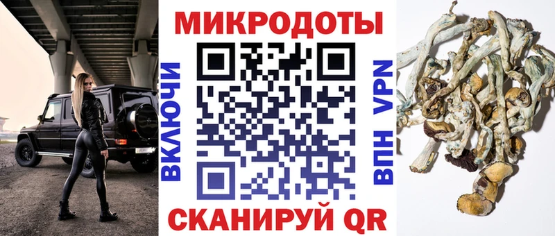 МЕГА зеркало  Нижнеудинск  Галлюциногенные грибы мицелий 