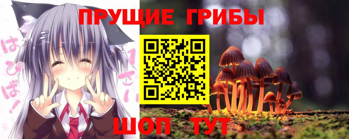 Галлюциногенные грибы ЛСД  Вход с VPN  Нижнеудинск 