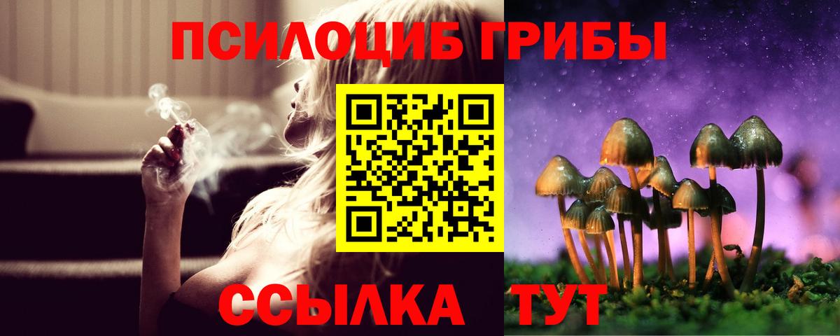 Псилоцибиновые грибы Magic Shrooms Нижнеудинск