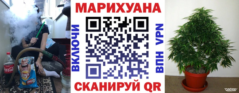 Марихуана план  где купить наркотик  Нижнеудинск 
